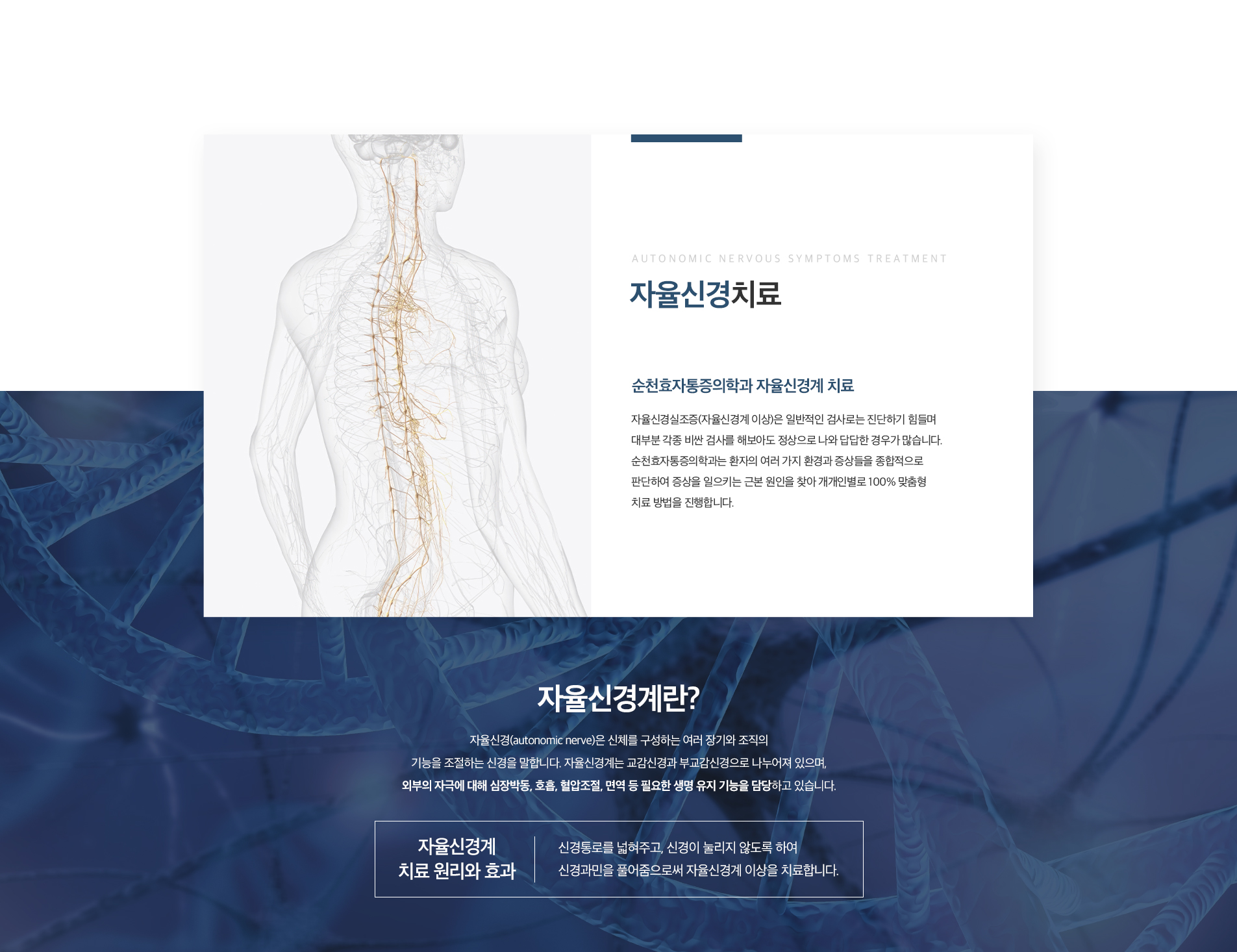 자율신경치료