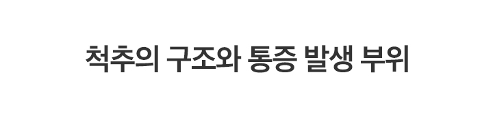척추의-구조와-통증-발생부위_01